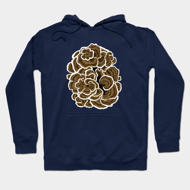 Turkeytail Mushroom Hoodie by SisterSpyder923